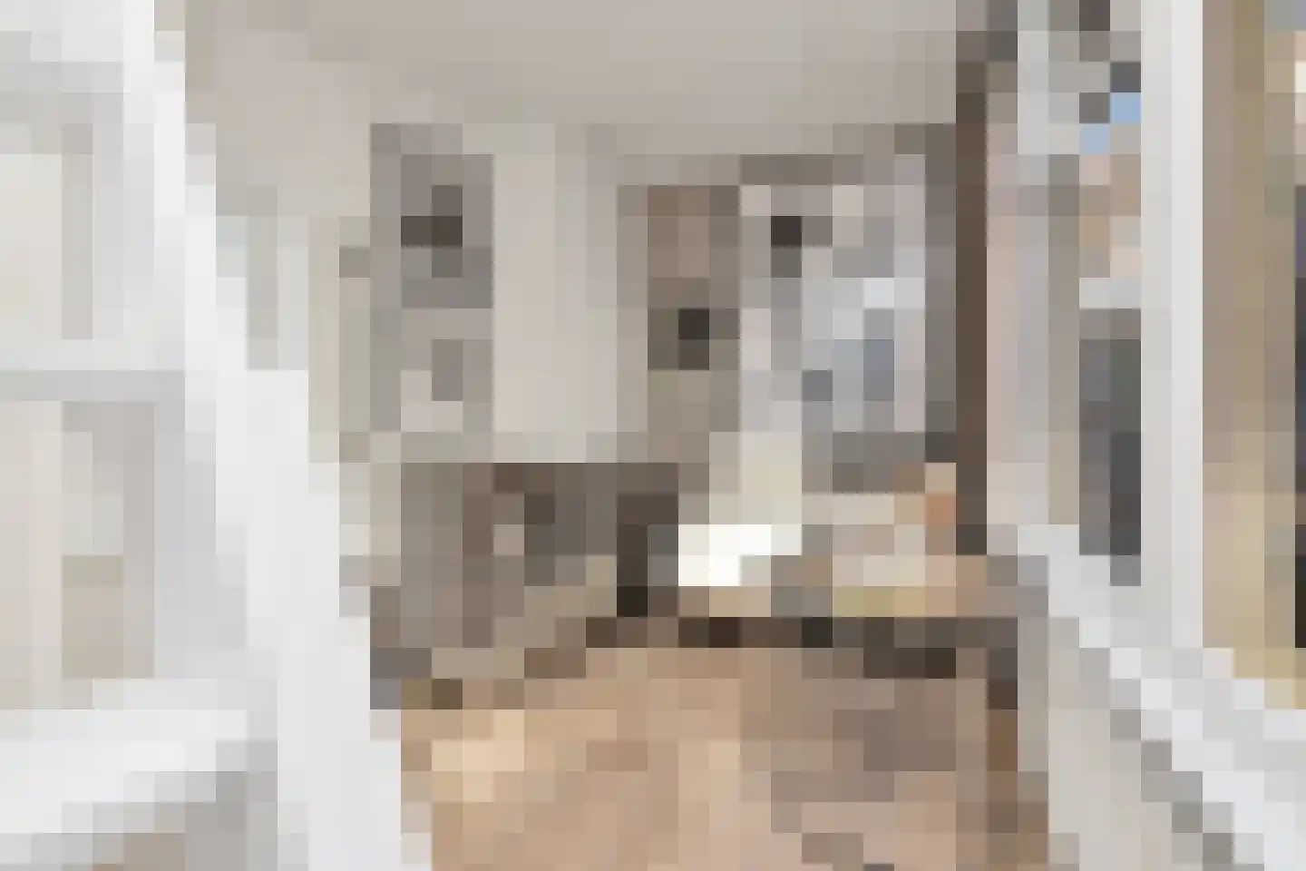 Binnen Bantammerstraat 14 Amsterdam thumbnail 19