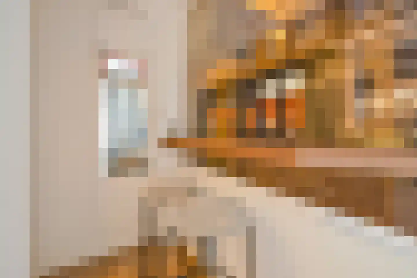 Binnen Bantammerstraat 14 Amsterdam thumbnail 50