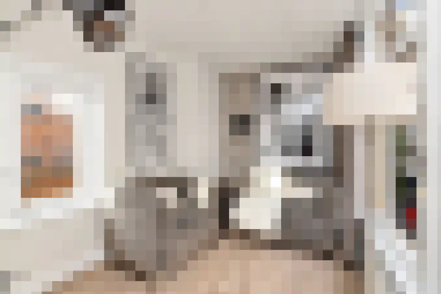 Binnen Bantammerstraat 14 Amsterdam thumbnail 9