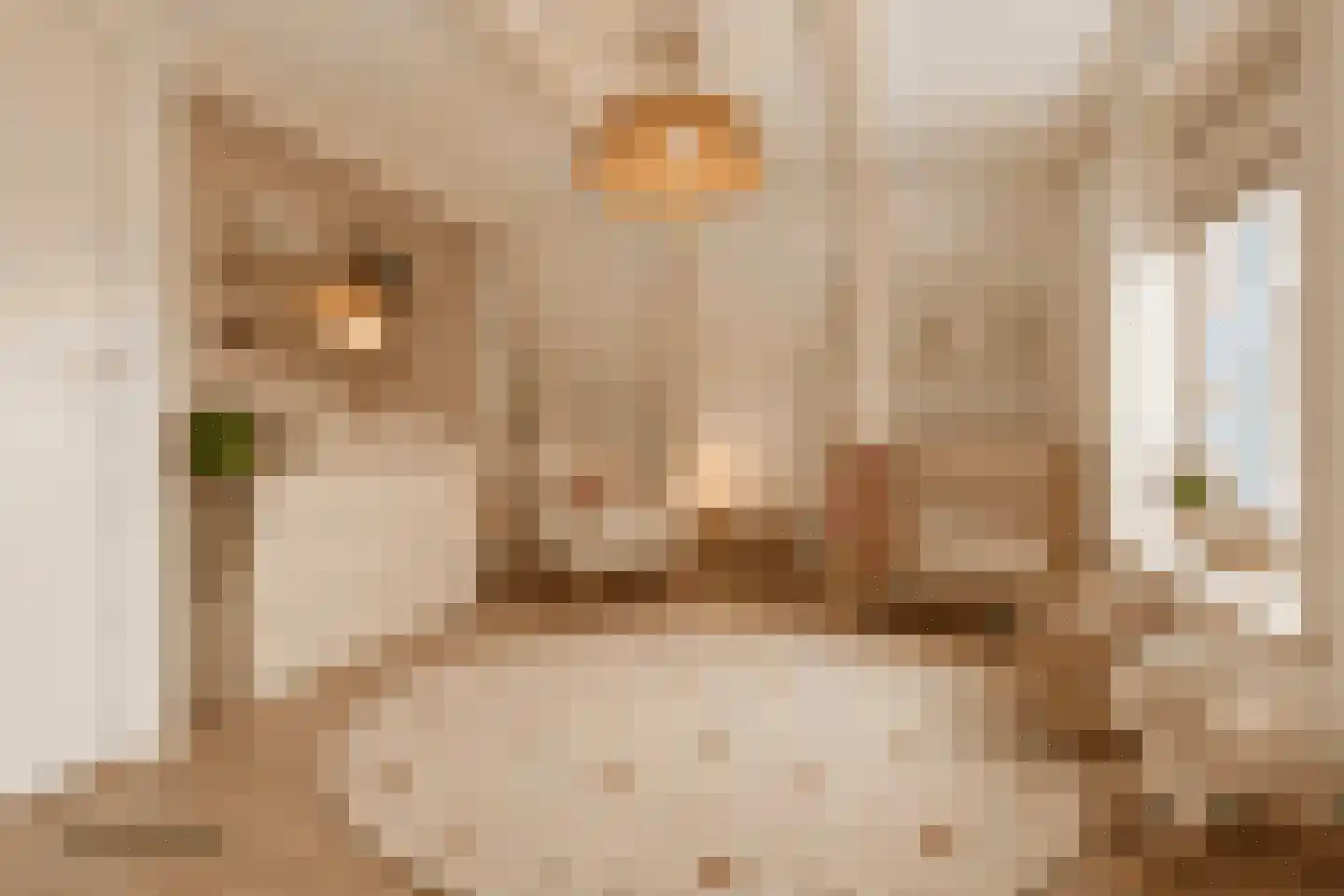Binnen Bantammerstraat 3 1 Amsterdam thumbnail 10