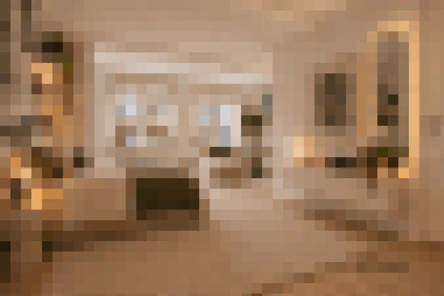 Binnen Bantammerstraat 3 1 Amsterdam thumbnail 8