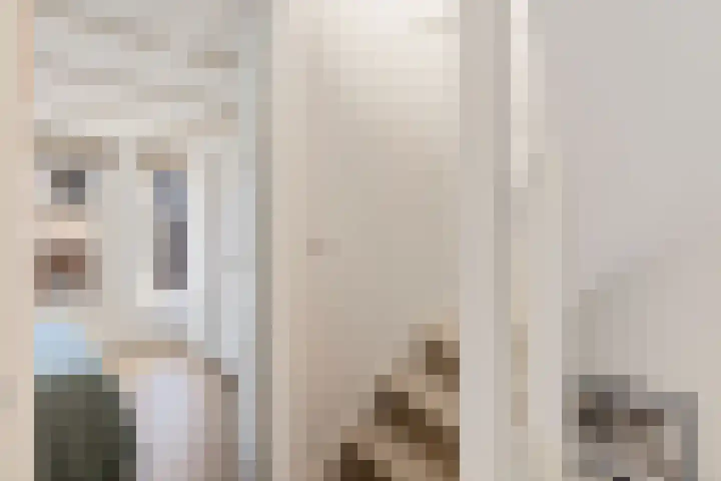 Binnen Brouwersstraat 44 Amsterdam thumbnail 31