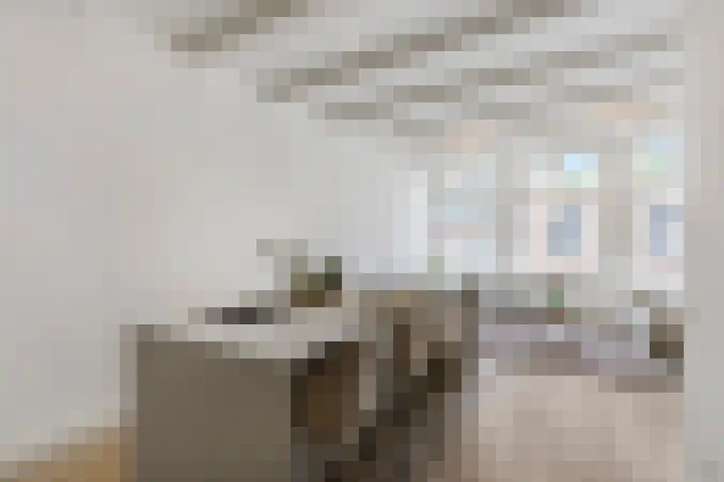 Binnen Brouwersstraat 7 1 Amsterdam thumbnail 11