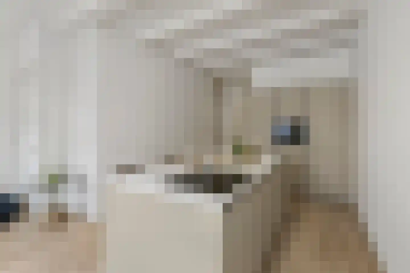 Binnen Brouwersstraat 7 1 Amsterdam thumbnail 13