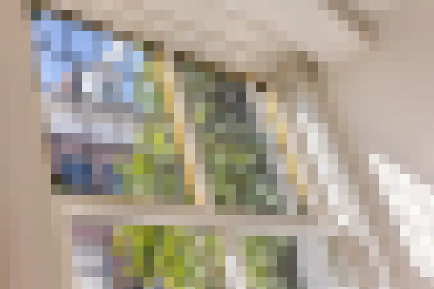 Binnen Brouwersstraat 7 1 Amsterdam thumbnail 33