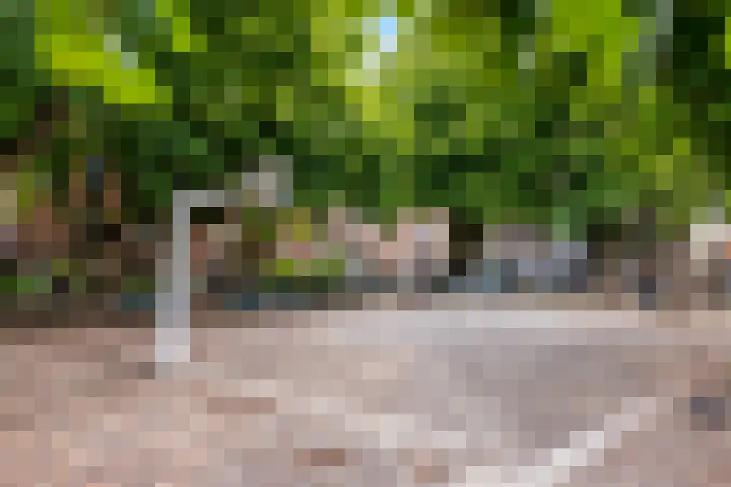 Binnen Brouwersstraat 7 1 Amsterdam thumbnail 39