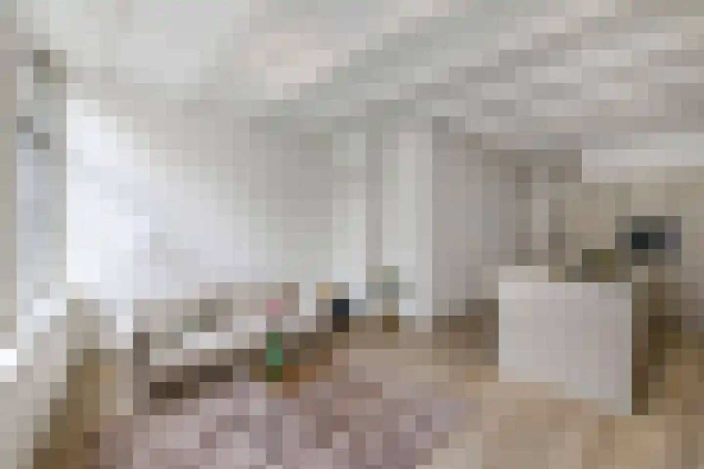 Binnen Brouwersstraat 7 1 Amsterdam thumbnail 5