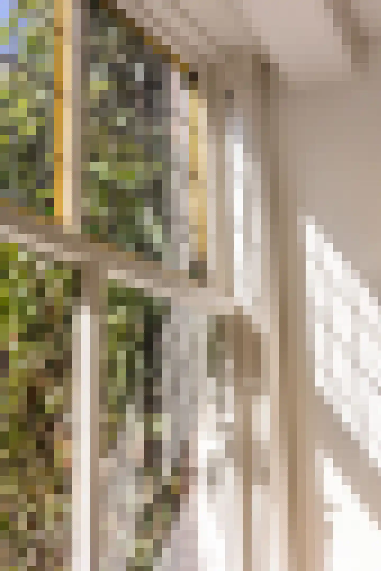 Binnen Brouwersstraat 7 2 Amsterdam thumbnail 8