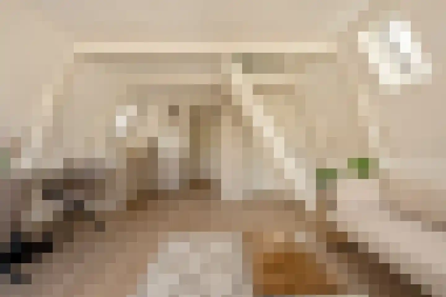 Binnen Brouwersstraat 7 D Amsterdam thumbnail 10