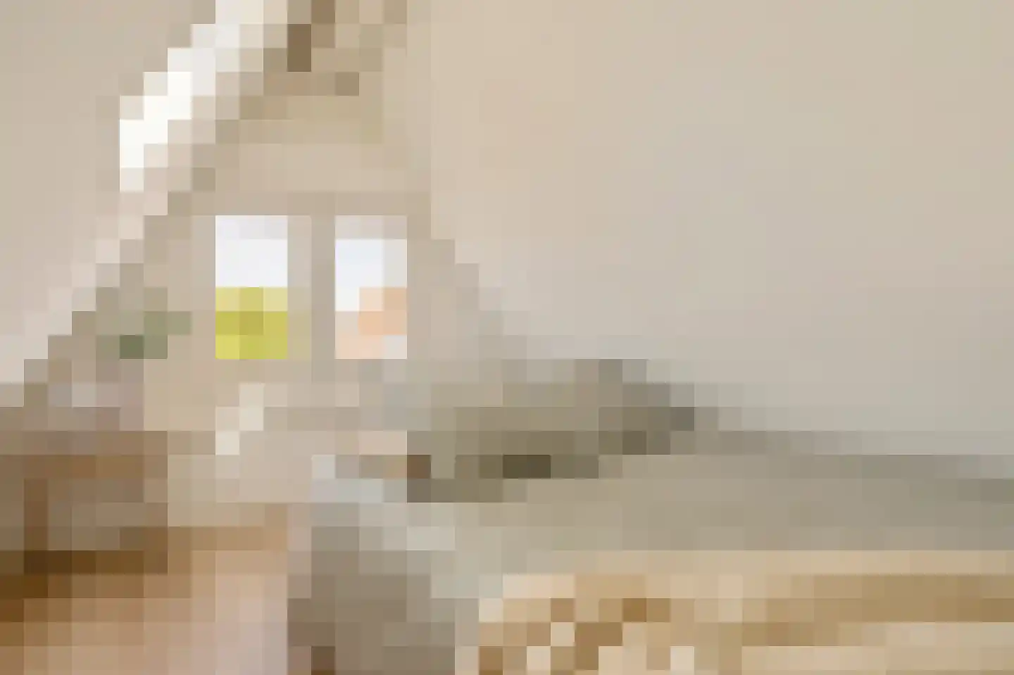 Binnen Brouwersstraat 7 D Amsterdam thumbnail 21