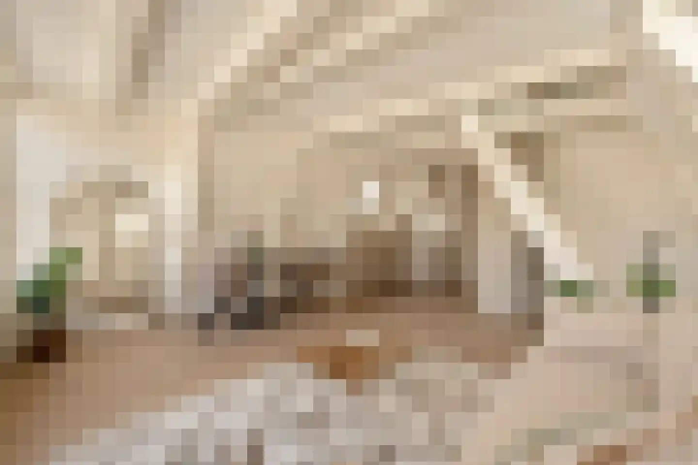 Binnen Brouwersstraat 7 D Amsterdam thumbnail 8