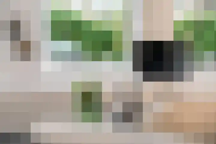 Binnen de Veste 38 Amersfoort thumbnail 10