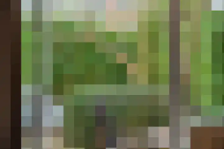 Binnen de Veste 38 Amersfoort thumbnail 11