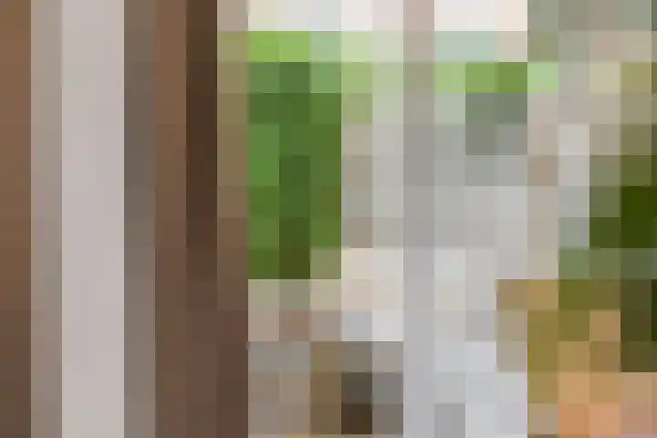 Binnen de Veste 38 Amersfoort thumbnail 12