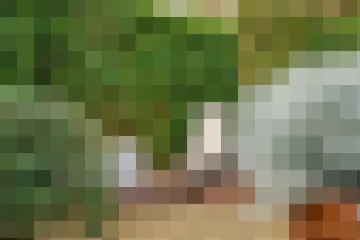 Binnen de Veste 38 Amersfoort thumbnail 13