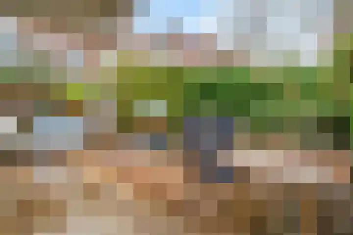 Binnen de Veste 38 Amersfoort thumbnail 14