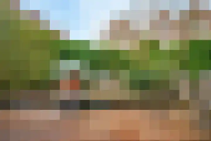 Binnen de Veste 38 Amersfoort thumbnail 15