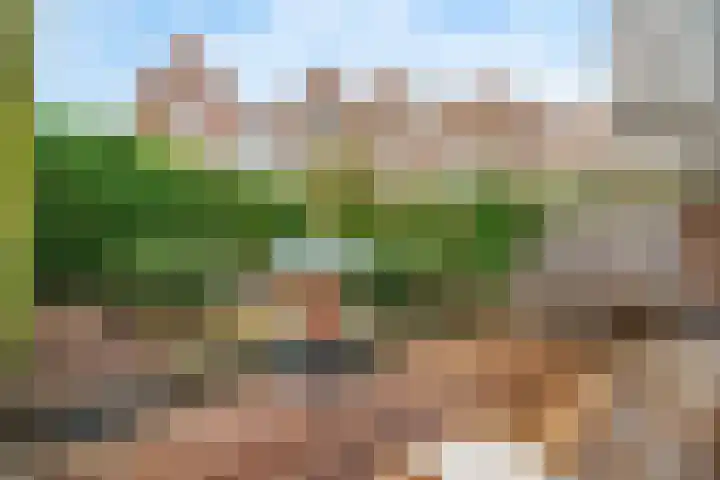 Binnen de Veste 38 Amersfoort thumbnail 16