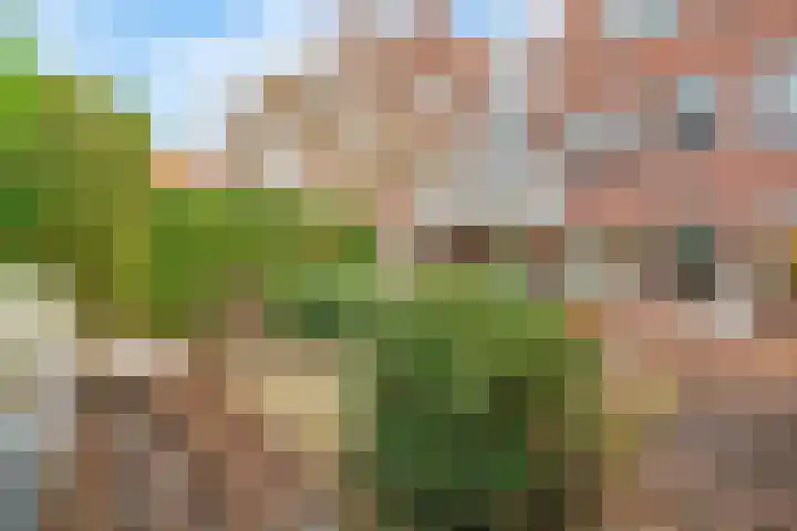 Binnen de Veste 38 Amersfoort thumbnail 17