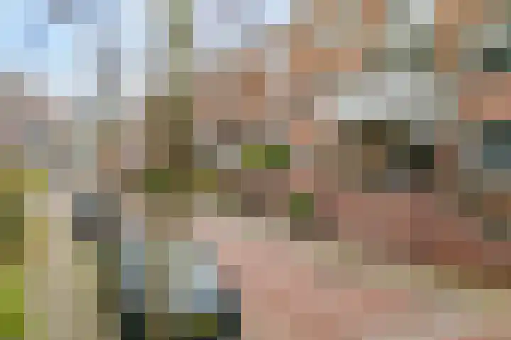 Binnen de Veste 38 Amersfoort thumbnail 37