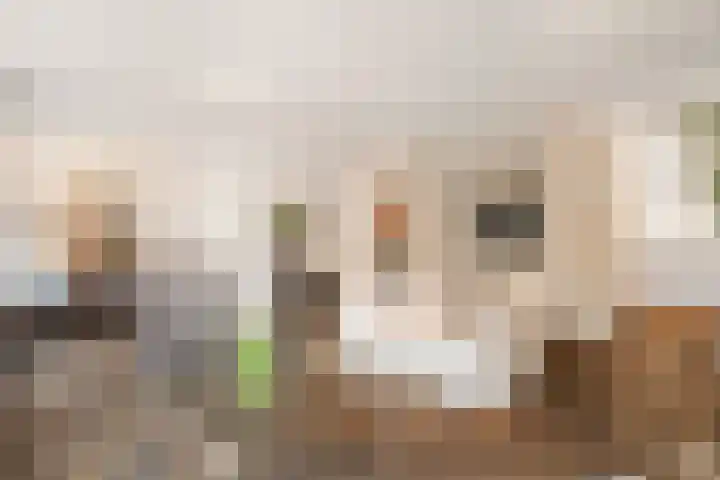 Binnen de Veste 38 Amersfoort thumbnail 4