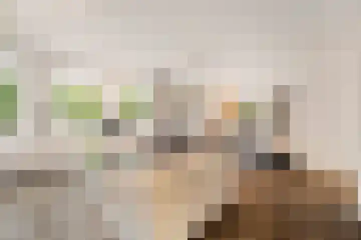 Binnen de Veste 38 Amersfoort thumbnail 5