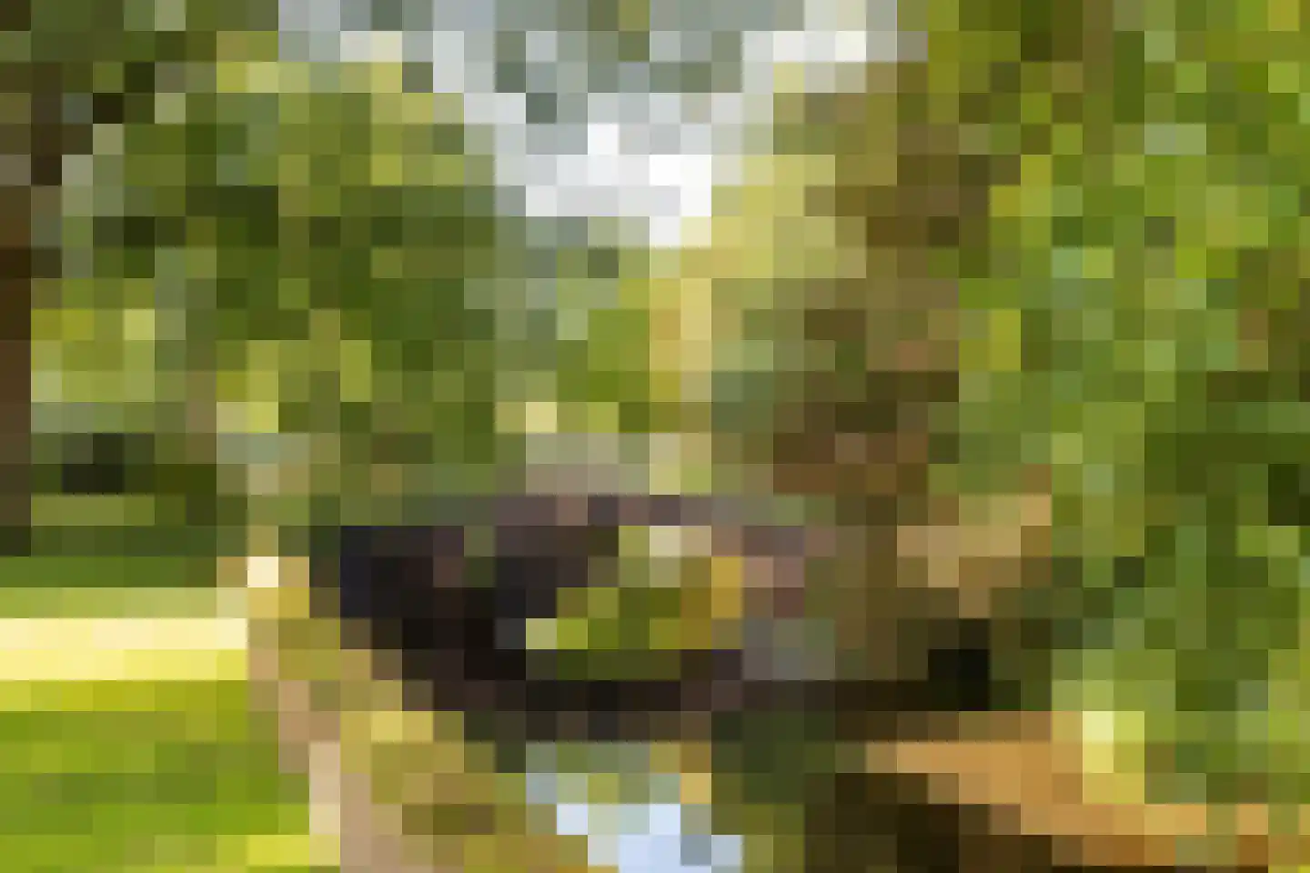 Binnen de Veste 42 Amersfoort thumbnail 26