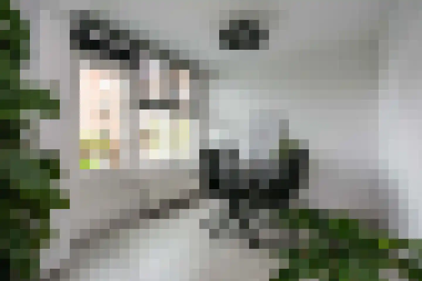 Binnen de Veste 42 Amersfoort thumbnail 9