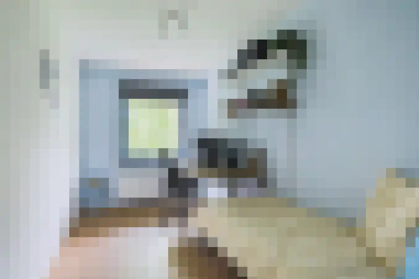 Binnen de Veste 51 Amersfoort thumbnail 17