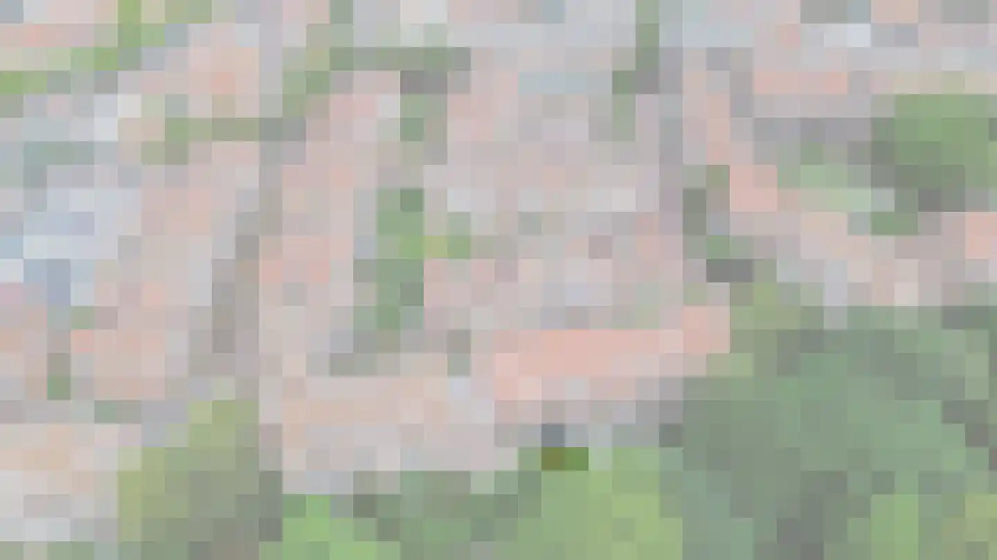 Binnen de Veste 51 Amersfoort thumbnail 33