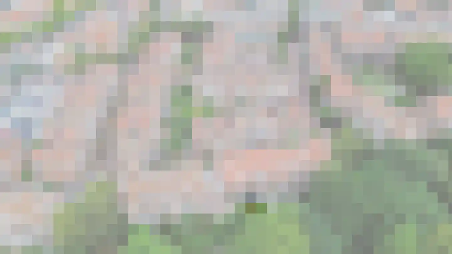 Binnen de Veste 51 Amersfoort thumbnail 6