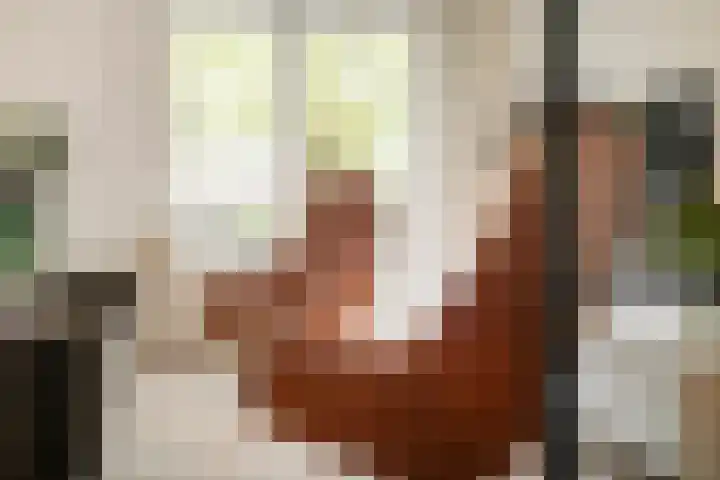 Binnen de Veste 63 Amersfoort thumbnail 11