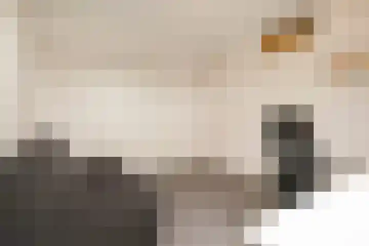 Binnen de Veste 63 Amersfoort thumbnail 32