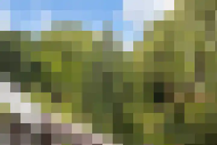 Binnen de Veste 63 Amersfoort thumbnail 33