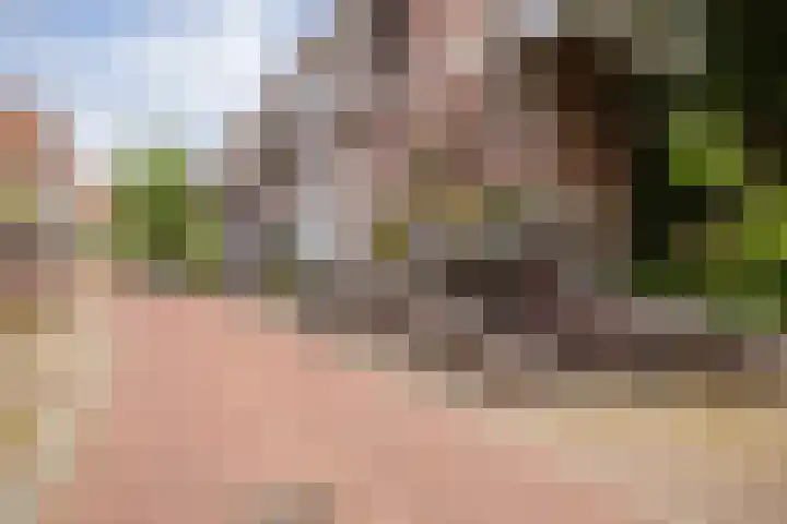 Binnen de Veste 63 Amersfoort thumbnail 37