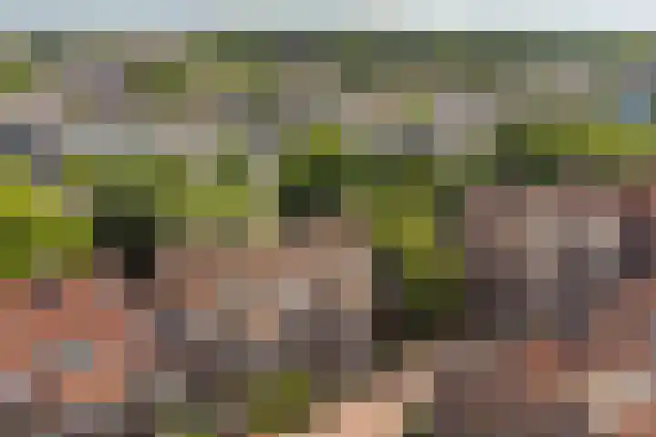 Binnen de Veste 63 Amersfoort thumbnail 39