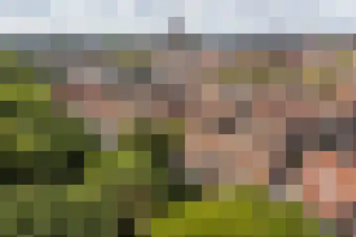 Binnen de Veste 63 Amersfoort thumbnail 40