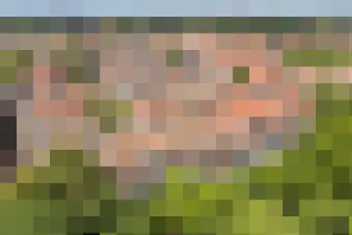 Binnen de Veste 63 Amersfoort thumbnail 41
