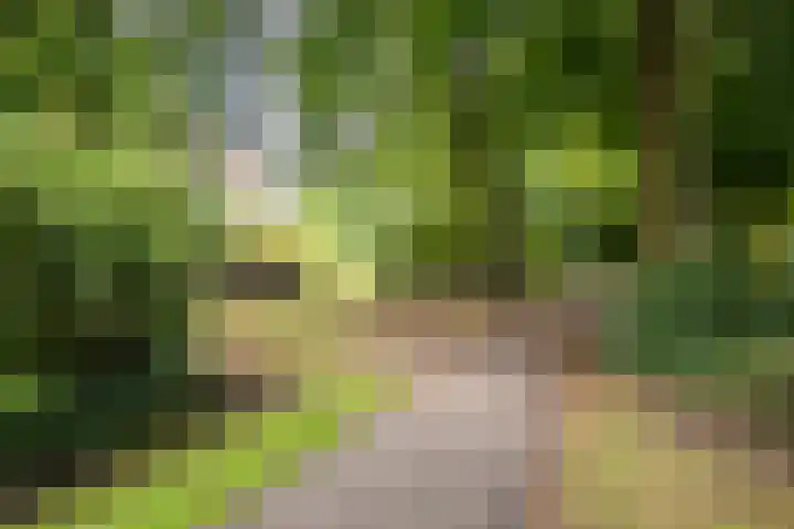 Binnen de Veste 63 Amersfoort thumbnail 42