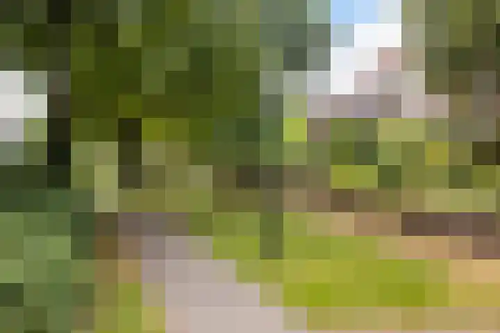 Binnen de Veste 63 Amersfoort thumbnail 43
