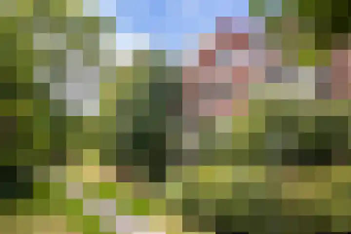 Binnen de Veste 63 Amersfoort thumbnail 5