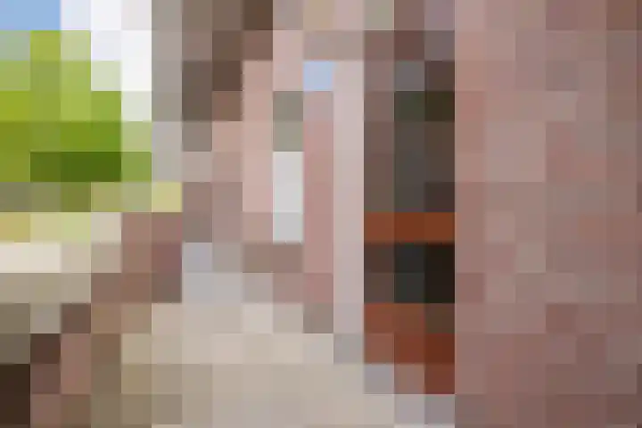Binnen de Veste 63 Amersfoort thumbnail 6