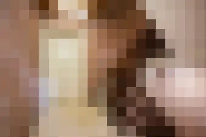 Binnen de Veste 63 Amersfoort thumbnail 7