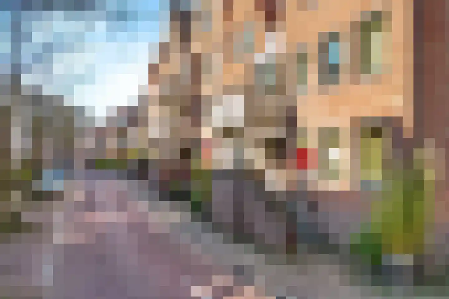 Binnen de Veste 68 Amersfoort thumbnail 24