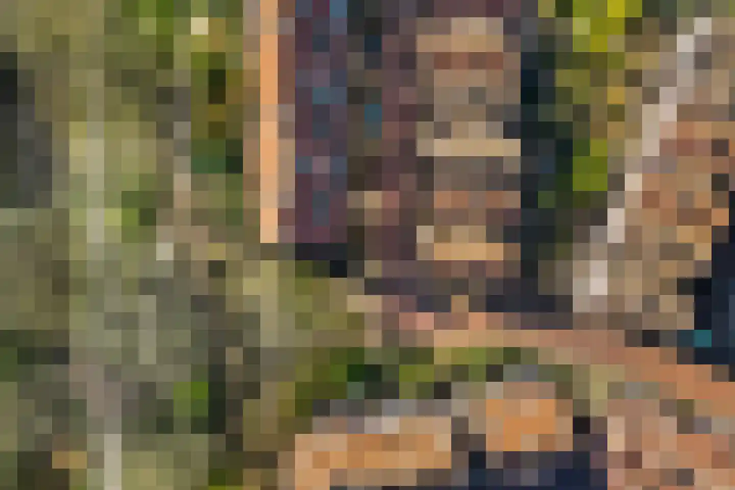 Binnen de Veste 68 Amersfoort thumbnail 28