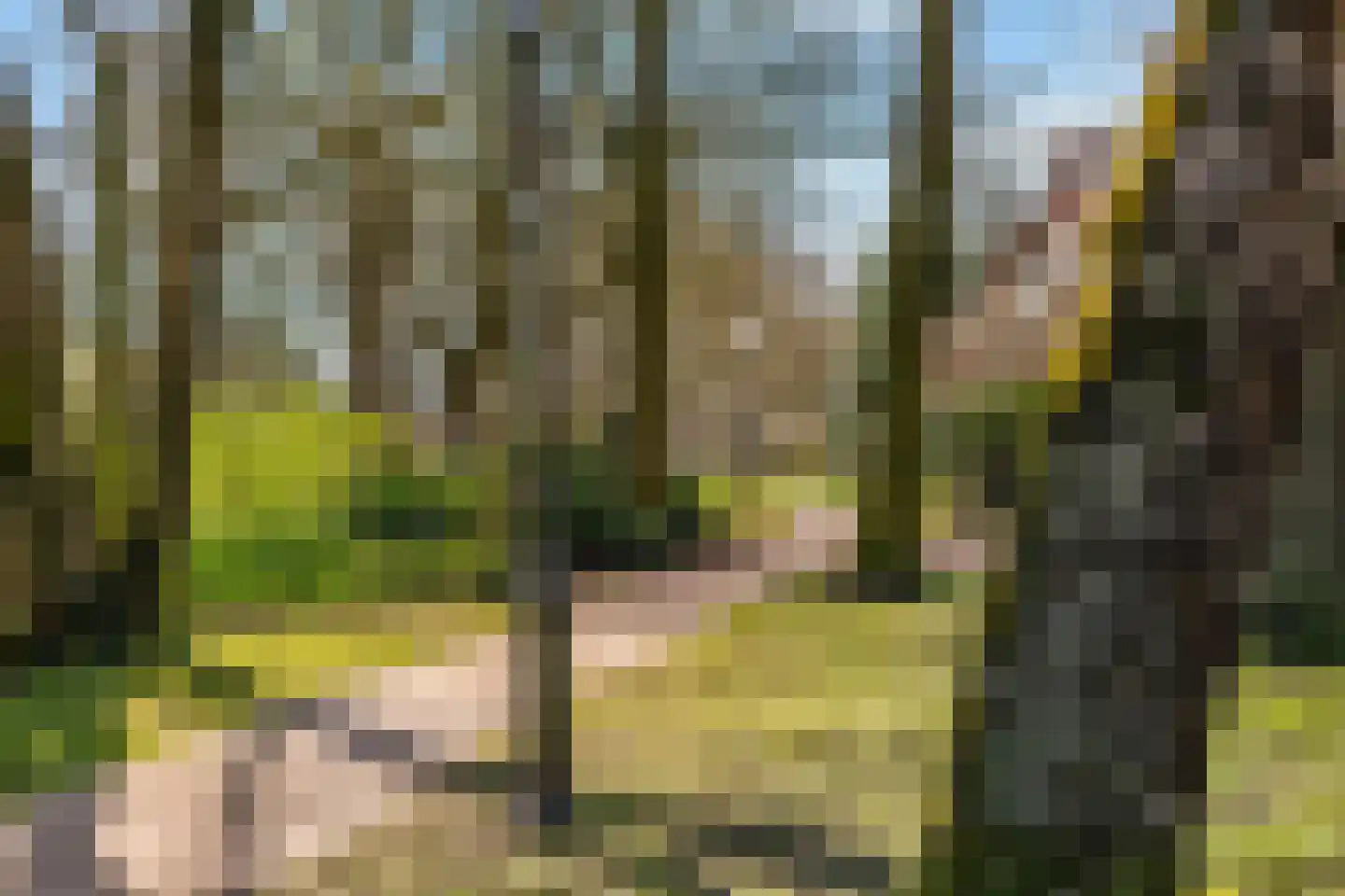 Binnen de Veste 68 Amersfoort thumbnail 32