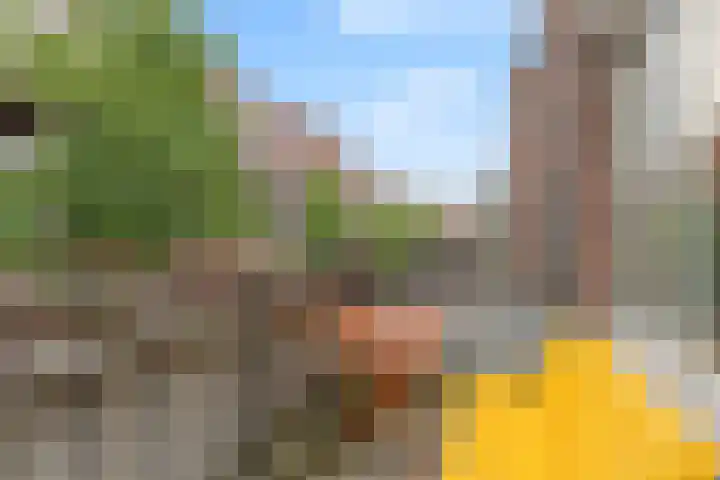 Binnen de Veste 72 Amersfoort thumbnail 31