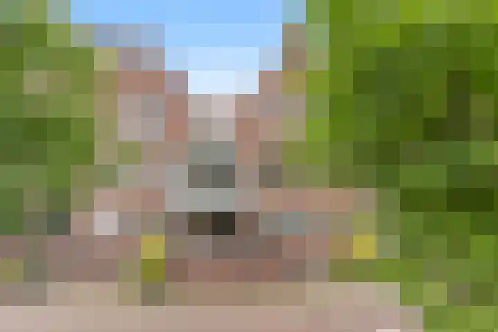 Binnen de Veste 72 Amersfoort thumbnail 37