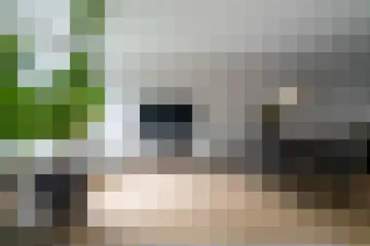 Binnen de Veste 73 Amersfoort thumbnail 10