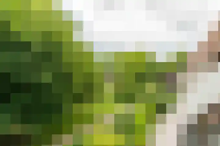 Binnen de Veste 73 Amersfoort thumbnail 12